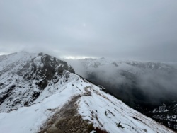 daae590d-9fc3-4921-9044-92becafa846b