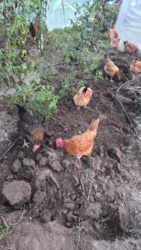 b91da666-c113-4017-af98-8b9218471401