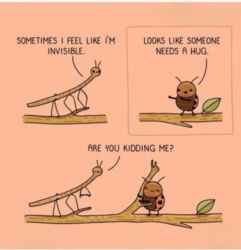 5de6c1de-b16c-40a3-9ef7-9e16d40eaec3