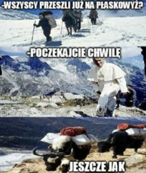 2b2e55ac-22a0-469e-a84a-ae0ec49dbdd3