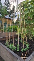 173ad41f-f58e-4542-95e3-466e5ee187af