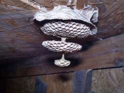 4fe751a3-fae6-4e73-b95a-5a80609f2c87