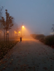 7f0b64db-4ba2-4bee-8beb-e2f4958631e5