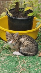 54bd3e1d-07b2-47ad-b4ef-69f00203bdcf