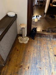 dea0afad-567e-4981-9806-113fa3d37519