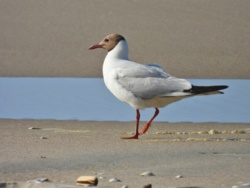 f2648452-27e1-4922-81ae-a047206a0658