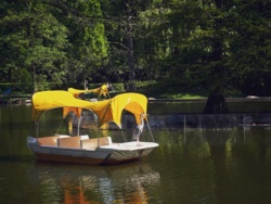 54361ec3-4842-439e-8870-b051706feac2