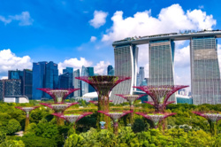 Singapur wprowadza dopłatę za korzystanie z ekologicznego paliwa lotniczego