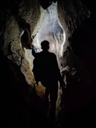 2cb774d7-e7bb-4b0c-98e5-d1a3502e6653