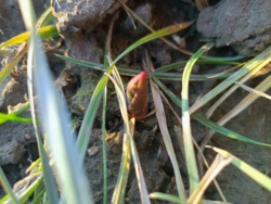 c5a94261-2991-4e48-9032-ab816f2b77b1