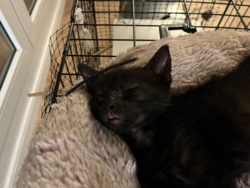 b952be58-70a2-451c-8453-36bc5bb923cd