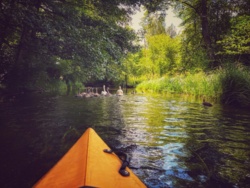 a7c9e0e4-f826-45e5-8130-bbab3a97dd66