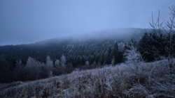 12551b30-be1c-4de3-a7f1-05832cf34a95