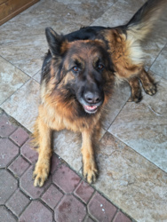 79565fd7-8437-4e20-975c-f5dc8bdf7f0a