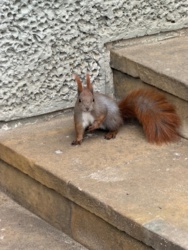 86ccebe0-69e8-4283-80ca-08d21a311b64