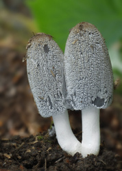 2fc68102-5ee3-4102-9686-6f37185f5f6a