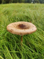 abf96e1d-cb64-4129-a274-025365e2180b