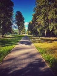 e328aa8a-ac13-49e6-8c95-75c347eb6a1f