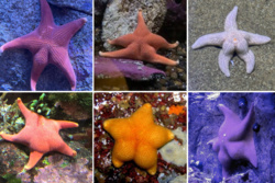 e98ac189-2010-431f-aa8c-11bd435ccbf4