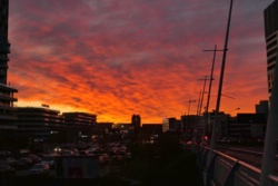 9bcfbd81-9b3c-43f9-a988-2d045876b784