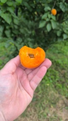 af8e25aa-a664-4451-9f43-a05c366a5ee3