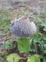 74d56cb3-f9fc-4bae-b807-9dc1e9cb6da0