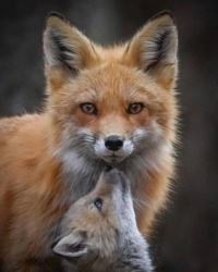 9201c88e-4efc-4cc9-8170-f0cd9dba0a89