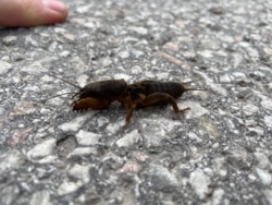 94af0920-c0d1-4180-b0cb-b0c781628c0b