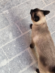 edd9c77b-d6fc-47fd-a015-37aa0b373d23