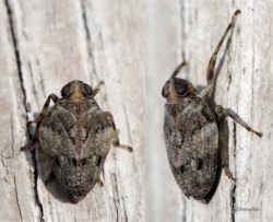 24cb72c7-0797-4d78-95e6-aa92517734c3