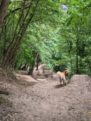 27480abc-ae40-4502-aa16-2a55f77abcda