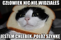 b1f838c8-c078-49ed-a846-97c41c63909d