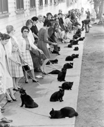 e9d806f4-9f9a-4660-b96b-5d90e07462c1