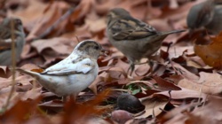 ec4d1e5b-4d9c-4121-8409-85826d6a6b37