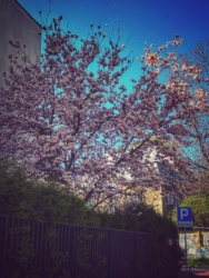 50ea73d5-0453-4a1e-952c-82b6006ac1ec