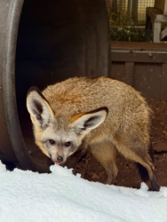 a43d010c-aa02-4f07-a49d-31afeb759e21