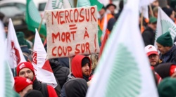 PE zacieśnia zasady umowy z Mercosur - rolnicy pod większą ochroną