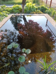 917658a2-8fa9-404b-bc69-3e0f34d66c91