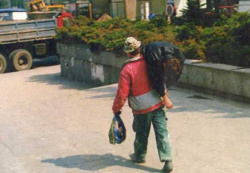 8cf69c71-5e74-4239-b024-83454a87259f