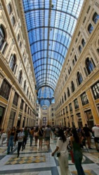 5031c07d-ff68-48c7-beb1-2cea84f9cc58