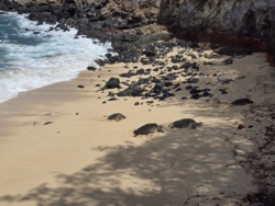 8a679caf-7140-4a3d-b42d-c0e2f7b4549c