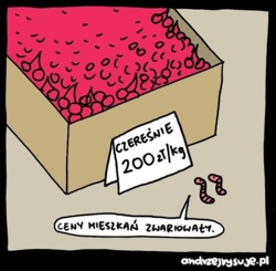 4d51e604-372f-4dc0-a716-43cb50f2205c