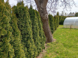 2de1aa07-e591-4cdd-a670-9a61c9466253