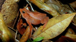 70edb16d-1489-4aaf-9668-e2b84b7f682d