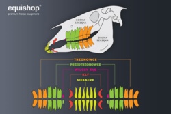 dc5128f0-ae27-49f8-b609-1ea416bcc3e0