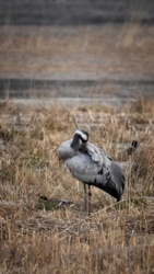 6a098ebd-d413-472f-88f7-1a5cccef03ad