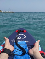 f95f371b-7310-477e-9aa4-bb6953004e5a