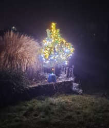 facc63b2-1175-4347-ab88-2d8a8e03f135