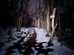 59db4a8d-0ec0-4fe2-99d0-895d1dbc828e