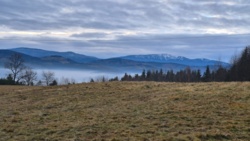 8bc9acaf-9689-476e-830f-f1a2759924cc